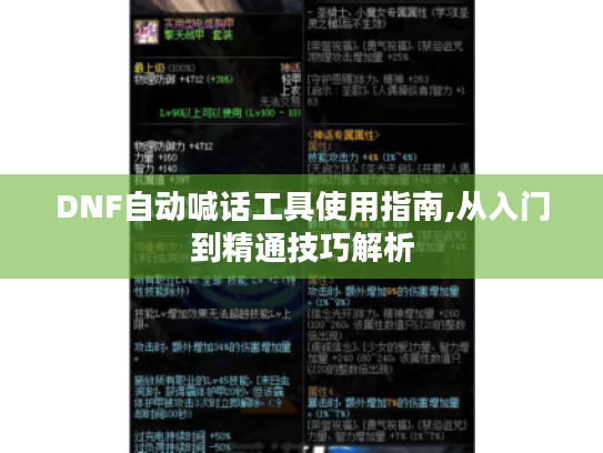 DNF自动喊话工具使用指南,从入门到精通技巧解析
