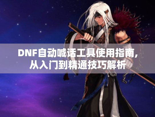 DNF自动喊话工具使用指南,从入门到精通技巧解析