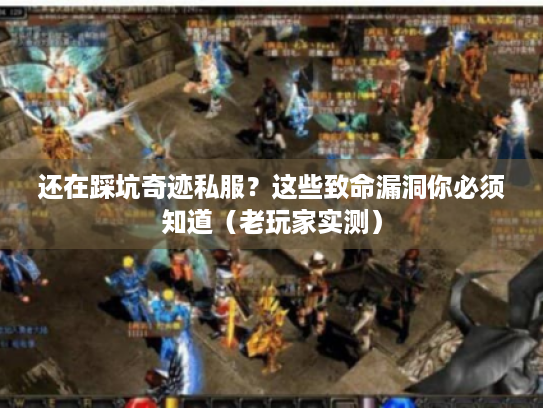 还在踩坑奇迹私服？这些致命漏洞你必须知道（老玩家实测）