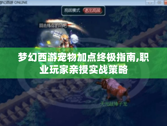 梦幻西游宠物加点终极指南,职业玩家亲授实战策略 梦幻西游宠物加点终极指南,职业玩家亲授实战策略