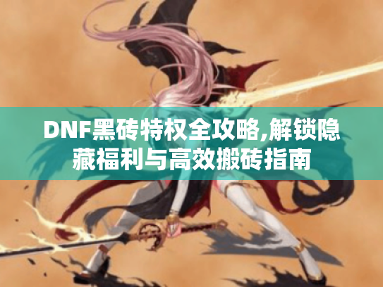DNF黑砖特权全攻略,解锁隐藏福利与高效搬砖指南
