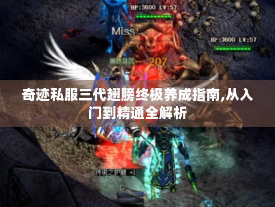 奇迹私服三代翅膀终极养成指南,从入门到精通全解析 奇迹私服三代翅膀终极养成指南,从入门到精通全解析