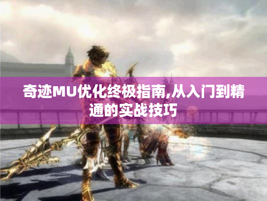 奇迹MU优化终极指南,从入门到精通的实战技巧