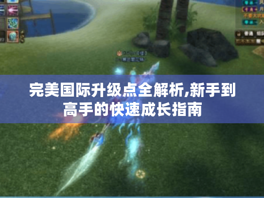 完美国际升级点全解析,新手到高手的快速成长指南