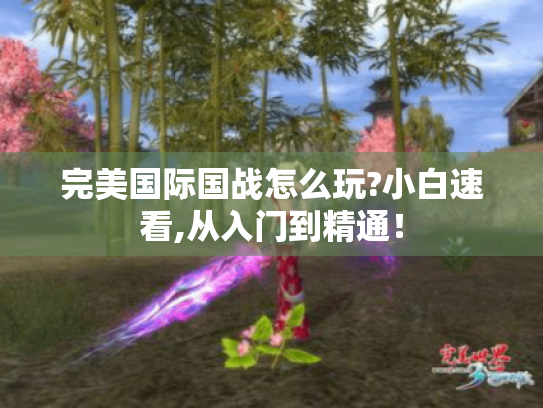 完美国际国战怎么玩?小白速看,从入门到精通! 完美国际国战怎么玩?小白速看,从入门到精通!