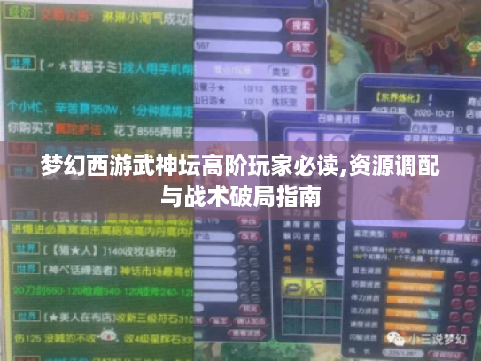 梦幻西游武神坛高阶玩家必读,资源调配与战术破局指南
