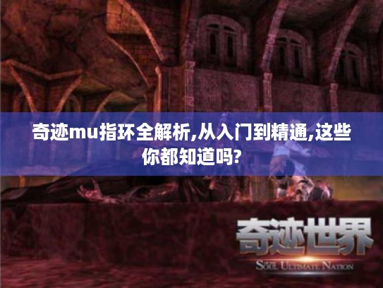奇迹mu指环全解析,从入门到精通,这些你都知道吗?