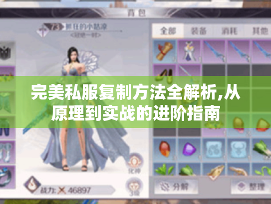 完美私服复制方法全解析,从原理到实战的进阶指南