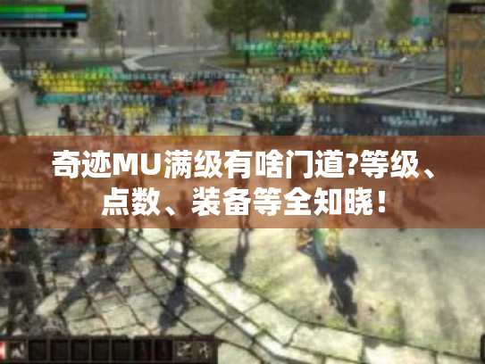 奇迹MU满级有啥门道?等级、点数、装备等全知晓！