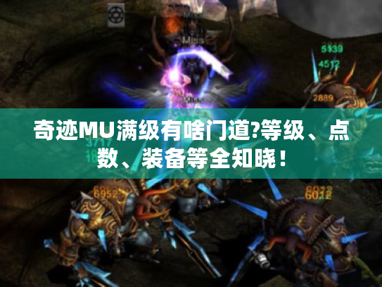 奇迹MU满级有啥门道?等级、点数、装备等全知晓！