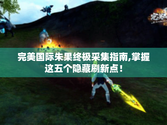 完美国际朱果终极采集指南,掌握这五个隐藏刷新点！