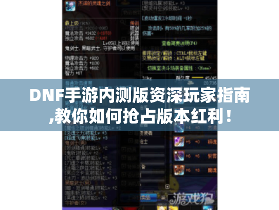 DNF手游内测版资深玩家指南,教你如何抢占版本红利！
