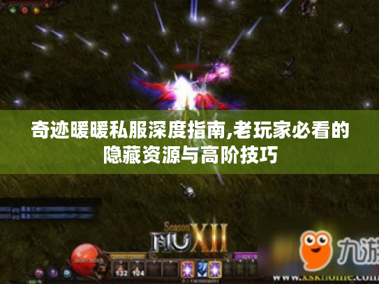 奇迹暖暖私服深度指南,老玩家必看的隐藏资源与高阶技巧 奇迹暖暖私服深度指南,老玩家必看的隐藏资源与高阶技巧