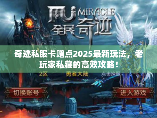 奇迹私服卡赠点2025最新玩法，老玩家私藏的高效攻略！