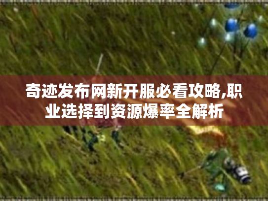 奇迹发布网新开服必看攻略,职业选择到资源爆率全解析
