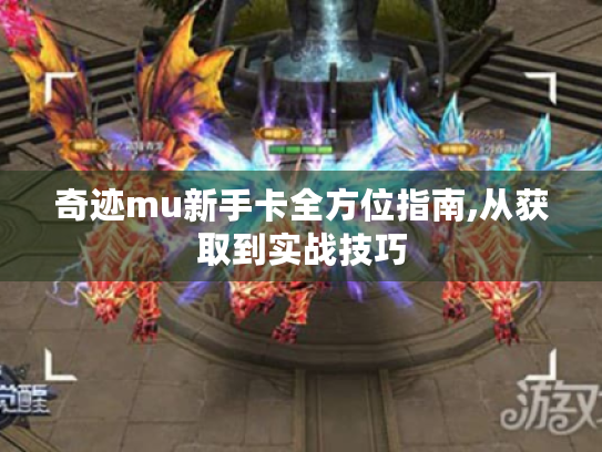 奇迹mu新手卡全方位指南,从获取到实战技巧