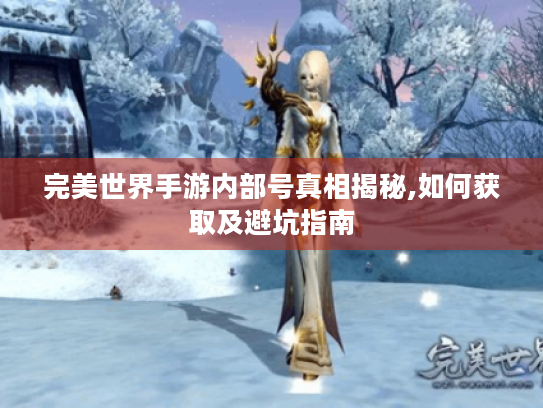 完美世界手游内部号真相揭秘,如何获取及避坑指南 完美世界手游内部号真相揭秘,如何获取及避坑指南