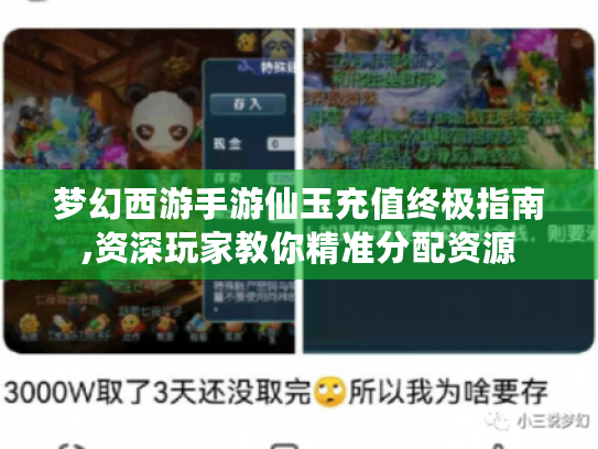 梦幻西游手游仙玉充值终极指南,资深玩家教你精准分配资源