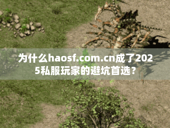 为什么haosf.com.cn成了2025私服玩家的避坑首选? 为什么haosf.com.cn成了2025私服玩家的避坑首选?