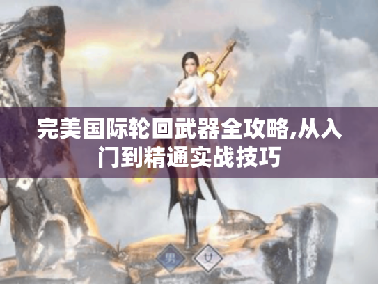 完美国际轮回武器全攻略,从入门到精通实战技巧 完美国际轮回武器全攻略,从入门到精通实战技巧