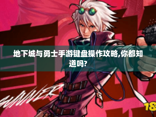 地下城与勇士手游键盘操作攻略,你都知道吗?
