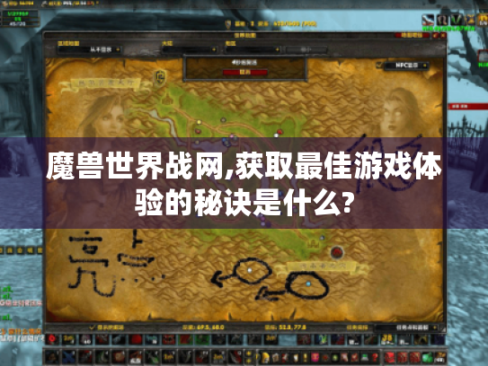 魔兽世界战网,获取最佳游戏体验的秘诀是什么?