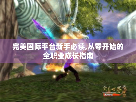 完美国际平台新手必读,从零开始的全职业成长指南