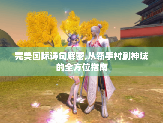 完美国际诗句解密,从新手村到神域的全方位指南