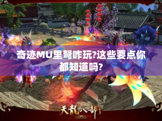 奇迹MU里弩咋玩?这些要点你都知道吗?