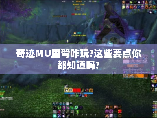 奇迹MU里弩咋玩?这些要点你都知道吗?