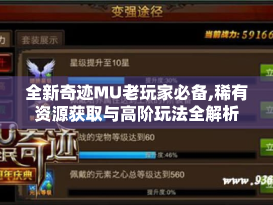 全新奇迹MU老玩家必备,稀有资源获取与高阶玩法全解析