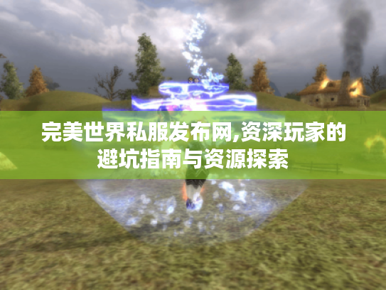 完美世界私服发布网,资深玩家的避坑指南与资源探索