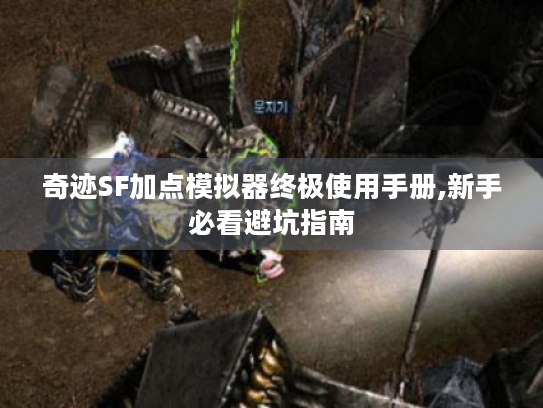 奇迹SF加点模拟器终极使用手册,新手必看避坑指南