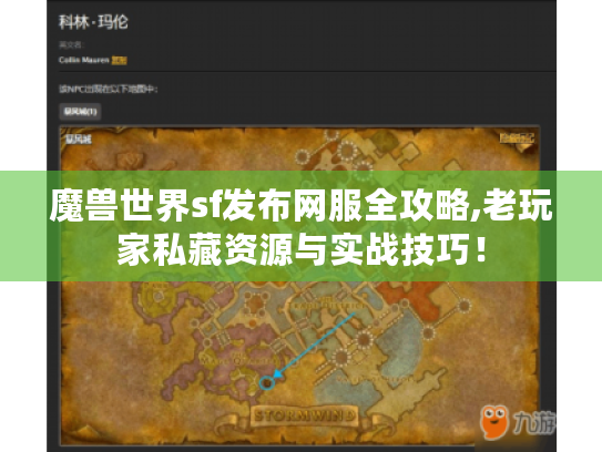 魔兽世界sf发布网服全攻略,老玩家私藏资源与实战技巧！
