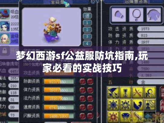 梦幻西游sf公益服防坑指南,玩家必看的实战技巧