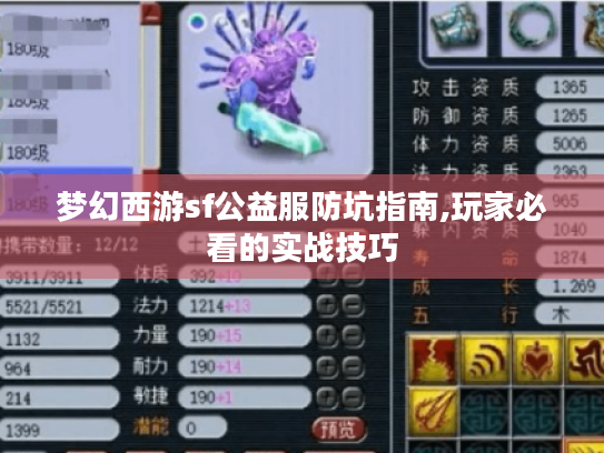 梦幻西游sf公益服防坑指南,玩家必看的实战技巧