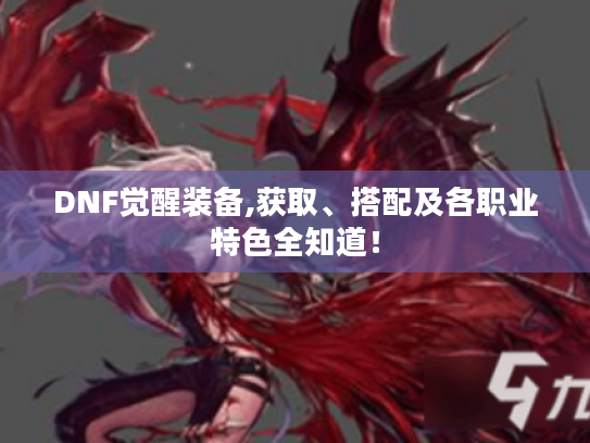 DNF觉醒装备,获取、搭配及各职业特色全知道！