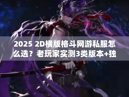2025 2D横版格斗网游私服怎么选？老玩家实测3类版本+独家攻略避坑