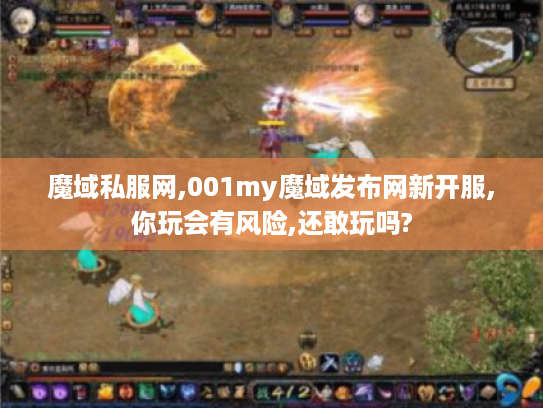 魔域私服网,001my魔域发布网新开服,你玩会有风险,还敢玩吗?