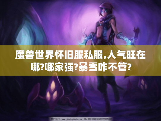 魔兽世界怀旧服私服,人气旺在哪?哪家强?暴雪咋不管?
