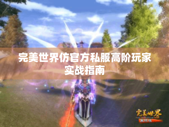 完美世界仿官方私服高阶玩家实战指南