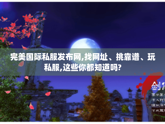 完美国际私服发布网,找网址、挑靠谱、玩私服,这些你都知道吗?