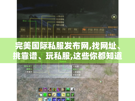 完美国际私服发布网,找网址、挑靠谱、玩私服,这些你都知道吗?