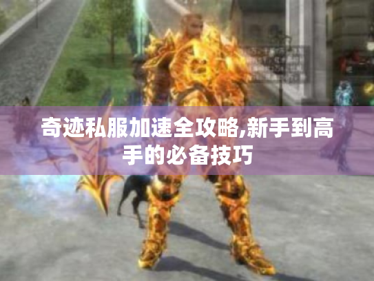奇迹私服加速全攻略,新手到高手的必备技巧