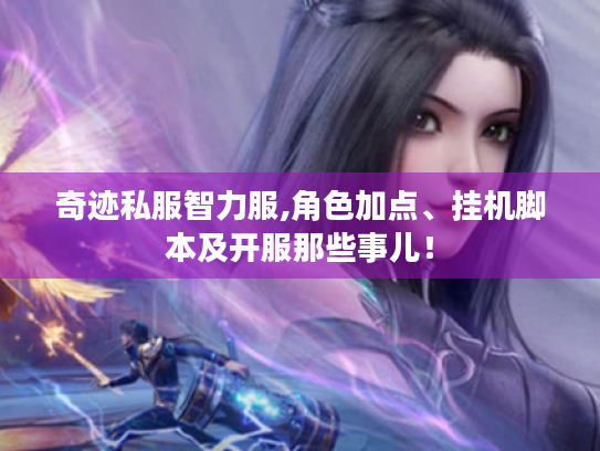 奇迹私服智力服,角色加点、挂机脚本及开服那些事儿！