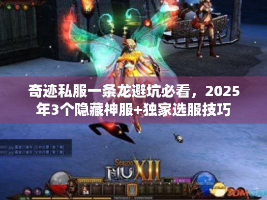 奇迹私服一条龙避坑必看，2025年3个隐藏神服+独家选服技巧
