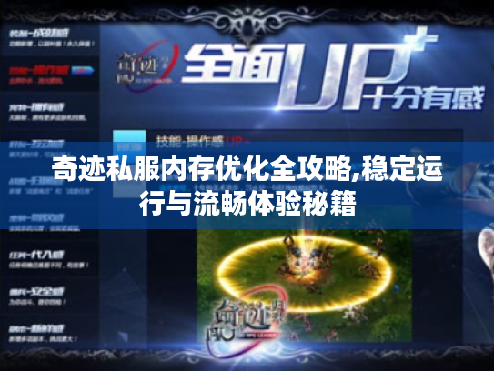 奇迹私服内存优化全攻略,稳定运行与流畅体验秘籍 奇迹私服内存优化全攻略,稳定运行与流畅体验秘籍