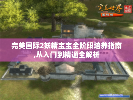 完美国际2妖精宝宝全阶段培养指南,从入门到精通全解析