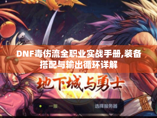 DNF毒伤流全职业实战手册,装备搭配与输出循环详解