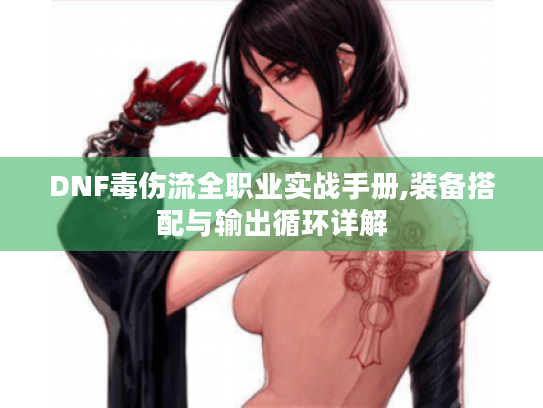 DNF毒伤流全职业实战手册,装备搭配与输出循环详解